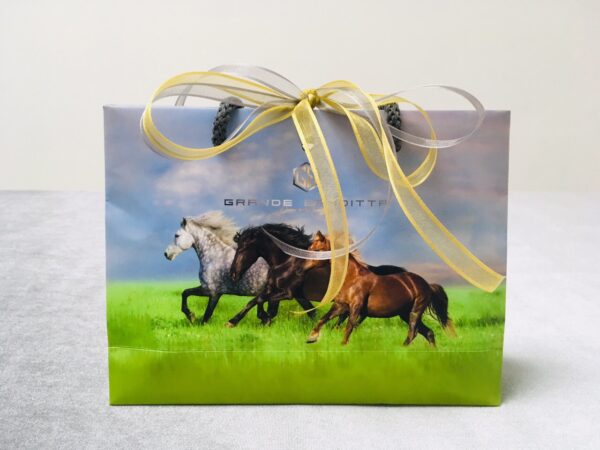 Хартиена торба Mini Banditta Horses